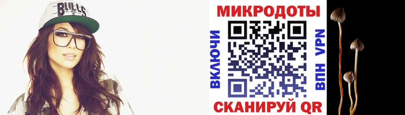 Галлюциногенные грибы Magic Shrooms  даркнет сайт  Черняховск 